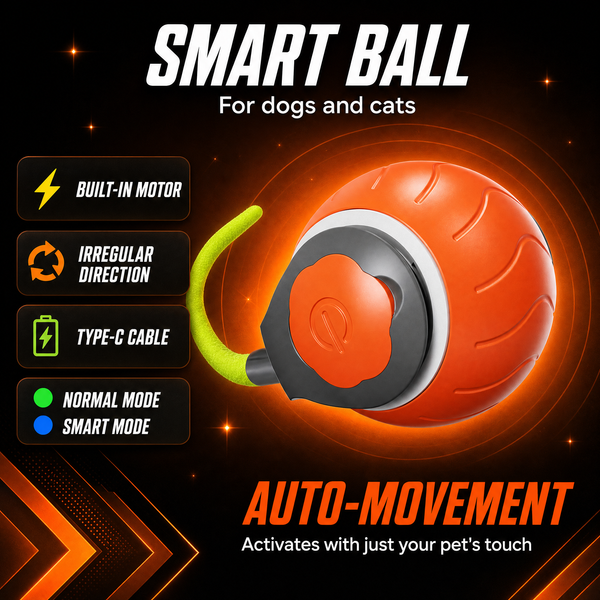 Smart Rechargeable Ball — Your Cat's Ultimate Play Companion